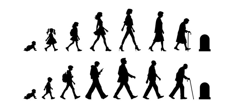 Vector illustration. Silhouette of growing up man from baby to old age. Many people of different ages in a row.	