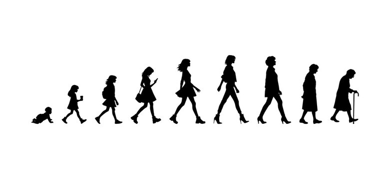 Vector illustration. Silhouette of growing up man from baby to old age. Many people of different ages in a row.	