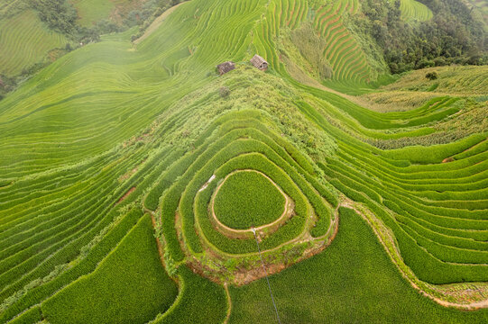 Aerial view of rice terraces in Mu Cang Chai, Vietnam