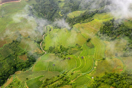 Misty Rice Terraces in Mu Cang Chai