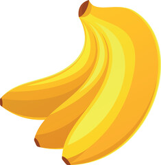 Ripe natural banana vector illustration