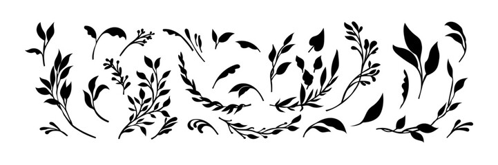 Floral Design Elements Black Silhouettes of Leaves and Branches