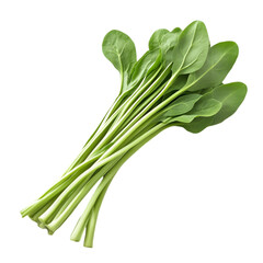 Obraz premium Bunch of fresh spinach leaves isolated white and transparent background. PNG cutout.