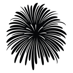Obraz premium Fireworks burst Silhouette, Vector, Icon, Logo, White Background.