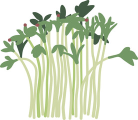 Seaweed grass plants vector illustration