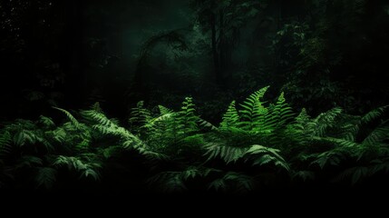 nature green and black background