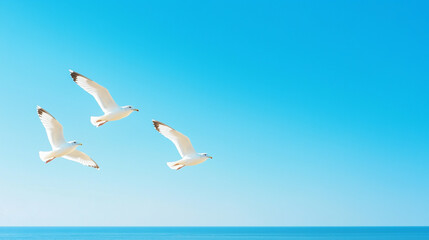 Seagulls' Aerial Dance: Three seagulls soar through the vast, cerulean expanse of the sky above the calm, expansive ocean, embodying freedom and tranquility. 
