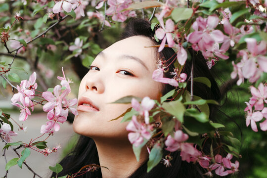 Capturing Serenity Among Blooming Pink Flowers