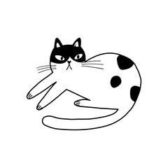 Cute funny cats iillustration. Playful funny kittens playing in funny poses. Flat vector illustration on white background in doodle style