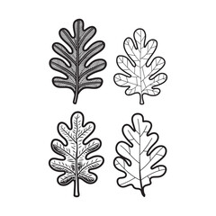  Set of a black and white illustration of an oak leaf, perfect for a coloring book, vector.