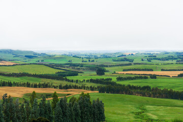 Obraz premium ニュージーランドの田舎の風景