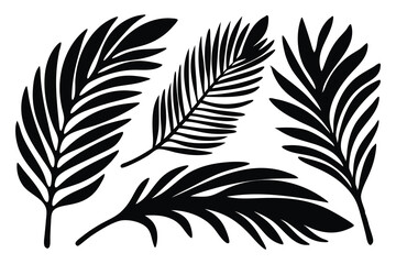Palm tree leaf silhouettes set isolated flat vector illustration on white background.