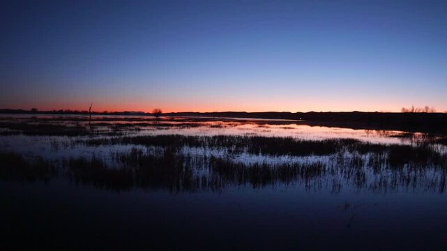 Bosque Del Apache Wetlands During Sunset