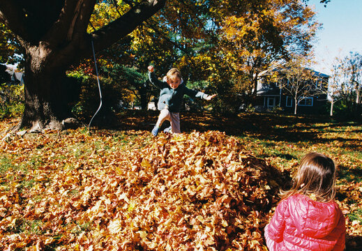 Children playing outside in a pile of raked leaves in their backyard