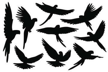Naklejka premium Parrot flying silhouettes set isolated flat vector illustration on white background.