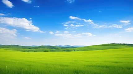 Obraz premium fields blue and green border