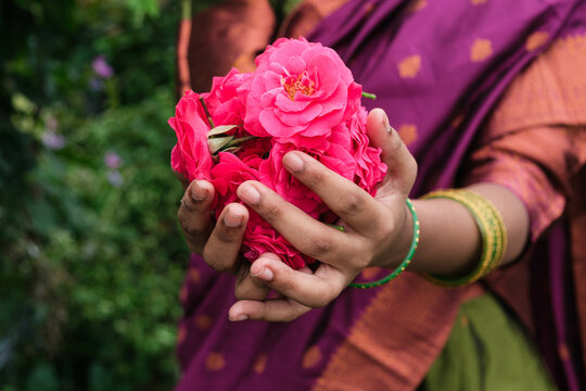 Damask Rose