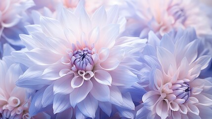 Obraz premium shot soft pastel flowers