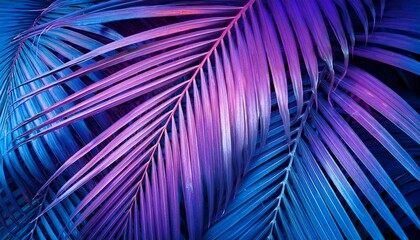 tropical palm leaf texture background purple blue color toned