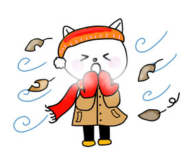 冬の風の強い日に寒そうにしている白ネコ