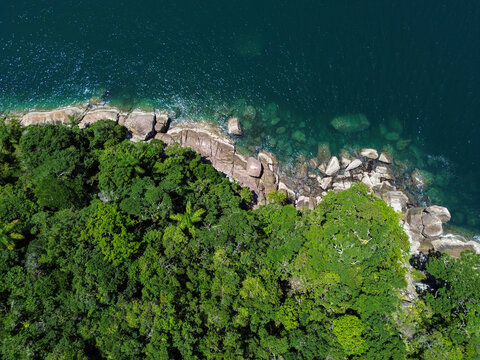 A top-down image capturing the transition between the dense vegetation and the rocky shorelines that form the island's edges. - Powered by Adobe