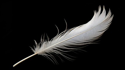 Obraz premium delicate black background vertical