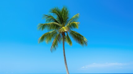 Fototapeta premium photo blue palm tree scene