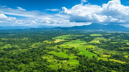 An aerial view of green hills blending with vast agricultural fields under a bright blue sky and clouds, illustrating natural beauty, sustainability, and a vibrant rural landscape.