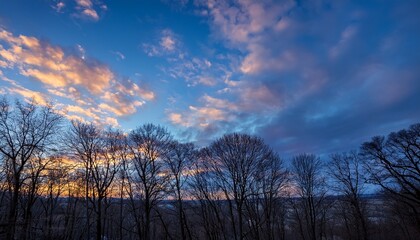Obraz premium clouds in blue sky over bare trees in twilight