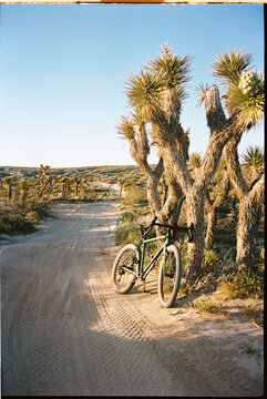 Desert Landscape