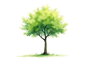 Obraz premium Fresh green tree green nature icon 