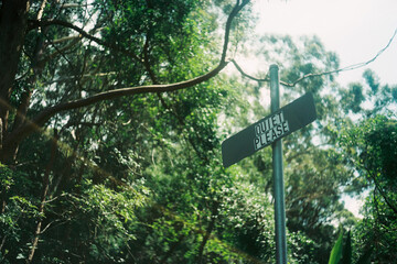 Film photo of a sign that says Quiet Please in a forest in Australia