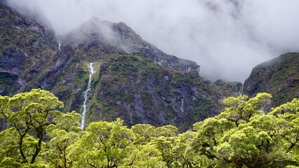 Milford Sound New Zealand mountain face waterfall with forest in the foreground