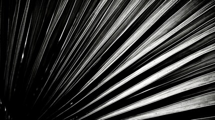 veins palms black and white