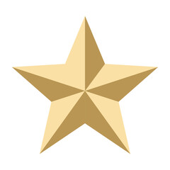 Gold star icon vector on white background