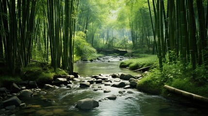 Obraz premium peaceful bamboo water