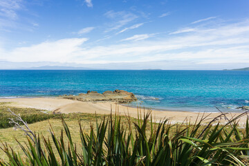 ニュージーランド、Colac Bayの晴れた海岸線