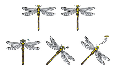 オニヤンマセット