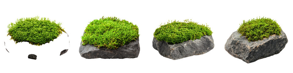 Moss covered rocks nestled in a serene natural landscape creating an elegant and eco friendly decorative element  This organic and textural image exudes a sense of tranquility renewal
