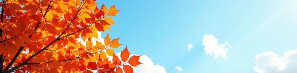Orange-colored leaves on trees against a light blue sky, sky, leaves, autumn