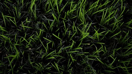 carbon black pellets