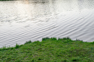 Tło tekstura pod tekst, brzeg rzeki, zielona trawka i płynąca rzeczka