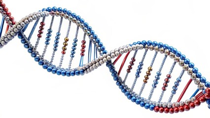 Double Helix DNA Structure Isolated on White Background