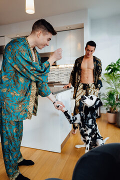 Gay Couple Teaching Dalmatian Tricks in Modern Kitchen