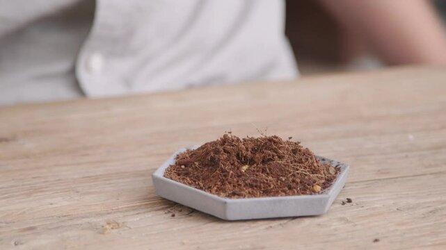 A close-up of a hand sprinkling soil or cocopeat onto a small hexagonal dish on a wooden table.
