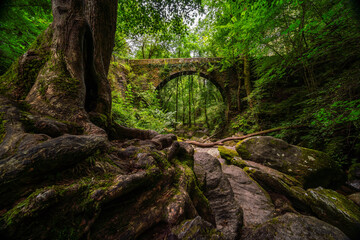 Enchanted Forest and Stone Bridge in Fragas do Eume, Galicia