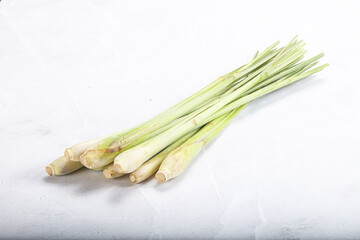 Lemongrass - Asian aroma plant for cooking