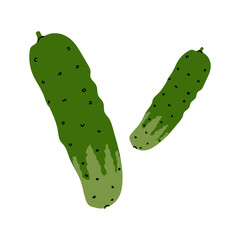 Fresh cucumbers displayed on a white background ready for delicious summer salads or pickling activities in a home kitchen