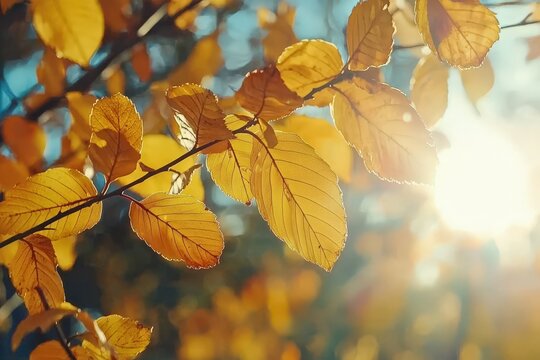 Close-up autumn colorful bright leaves swinging in a tree in autumnal park - Powered by Adobe