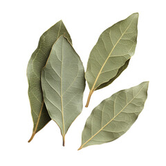 Obraz premium A collection of dried bay leaves arranged artistically.